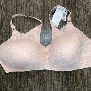 Torrid Dream Wire-Free Bra